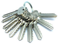 S 43 Key Extra Key Cut