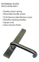 Lockton External Plate Lever Only
